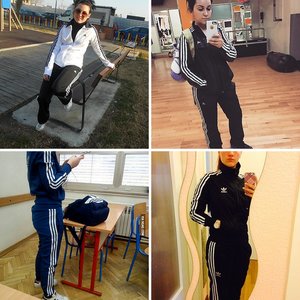 Stingrays Collection