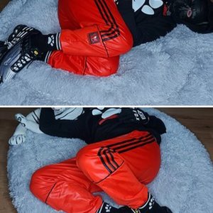 Me and my Comfy Gear + Puppyplay 🥰🐺🐶