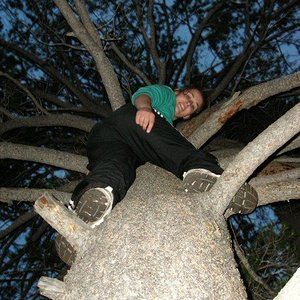 n15906485 32019010 2484