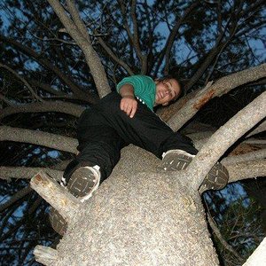 Adidas black pants tree climbing