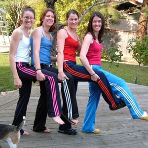 Assorted Adidas pants group photo