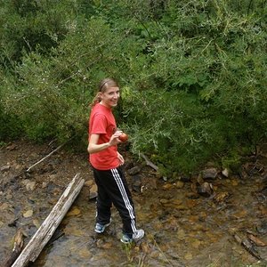 Adidas black pants forest walk