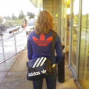 Blue and red Firebird