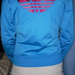 Blue and pink Firebird back