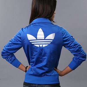 blue and white firebird