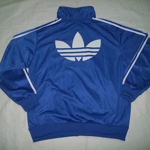 blue and white firebird