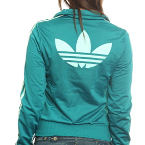 teal and white firebird