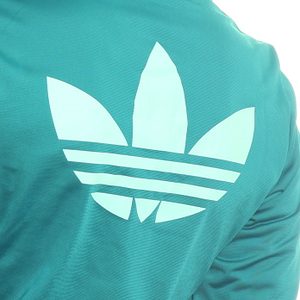 teal and white firebird back logo