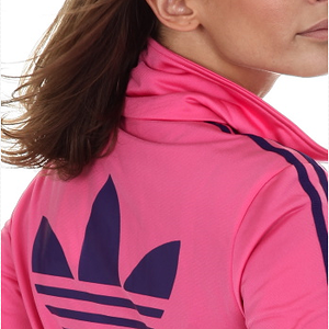 pink and blue firebird