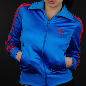 blue and pink firebird