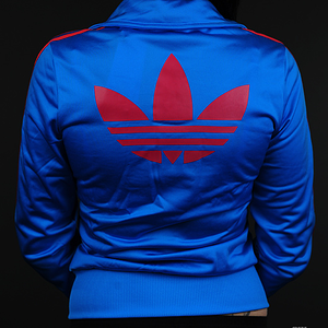 blue and pink firebird back