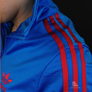 blue and pink firebird