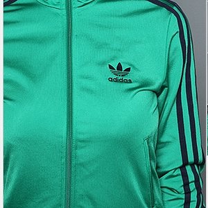 green and blue firebird