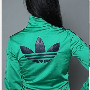 green and blue firebird