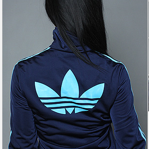 blue and light blue firebird back