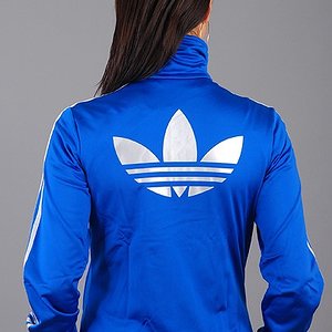 blue and white firebird back