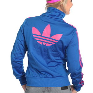 blue and pink firebird back