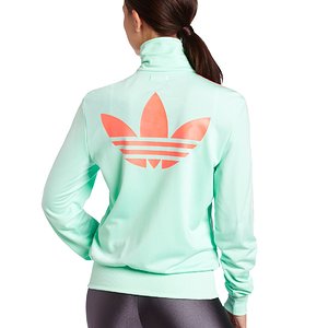 green and orange firebird