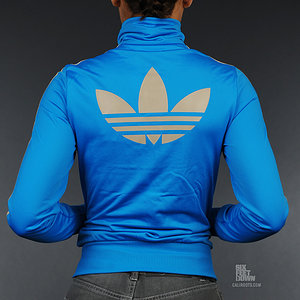 blue and grey firebird