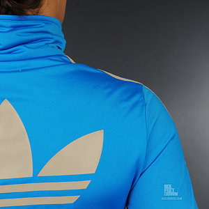 blue and grey firebird back logo