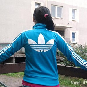 blue and white firebird