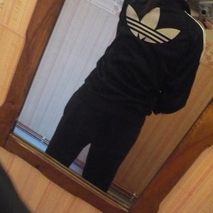 black and white firebird