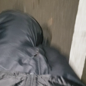 Felt like going for a walk