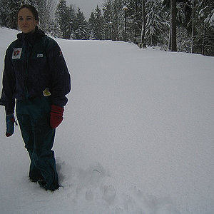 134701961 3c621ed35b