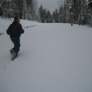 134701974 afea795788