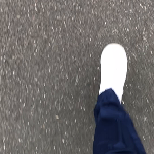 Windpants Walking 6: Deep Blue Swish