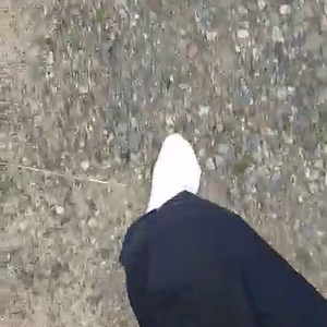 received_399315141498933.mp4