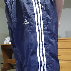 Me in my Dark Blue Adidas Nylon Pants with my hands behind my back 3