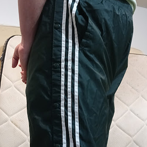 Me in my Medium Forest Green Adidas Nylon Pants (with my hands behind my back) 4.png