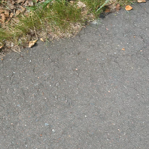 PXL_20230729_165217877.TS.mp4