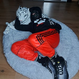 Shiny and Comfy 🥰🐺🐶