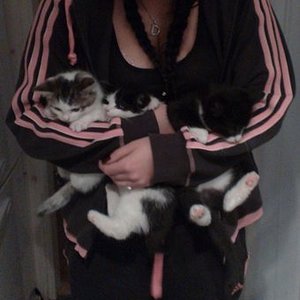 Adidas womens black top pink stripes arm cross photo