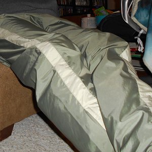 Adidas Olive Nylon Pants 1