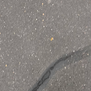 Windpants Walking 19: The Lion The Swish and The Wardrobe.mov