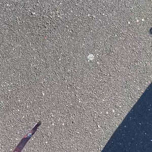 Windpants Walking 20: Swish Free or Die Hard.mov