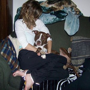 541809 10151385700017848 673289296 N