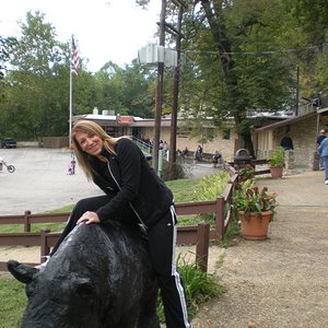 313629 2427980021544 1573414008 N