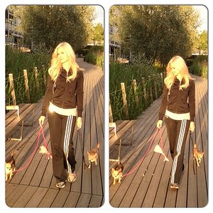 ca5c55c8d13711e2931a22000aaa0ff5 7