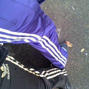 2 adidas pants