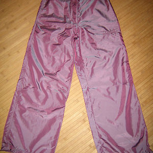 Shiny Venice Beach pants
