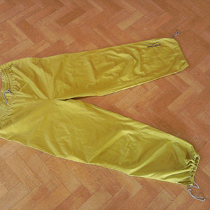 Shiny Venice Beach pants