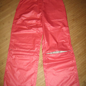 Shiny Venice Beach pants