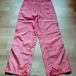 Shiny Venice Beach pants