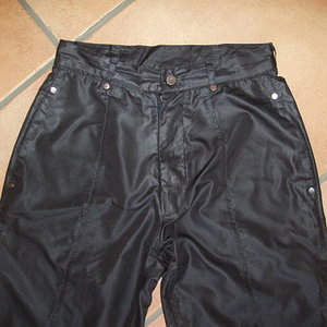 Shiny Venice Beach pants