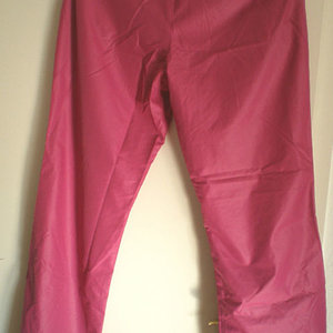 Shiny Venice Beach pants