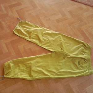 Shiny Venice Beach pants